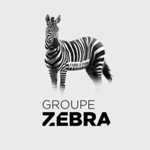 groupe zebra logo